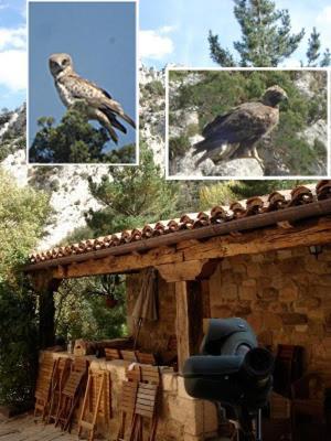 Posada Molino Del Canto Barriolacuesta Εξωτερικό φωτογραφία