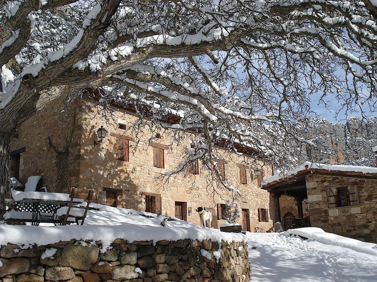 Posada Molino Del Canto Barriolacuesta Εξωτερικό φωτογραφία